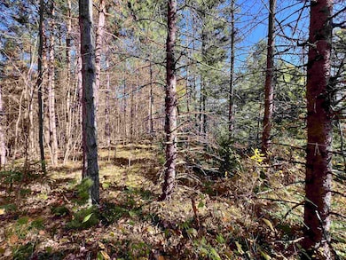 0 Right of Way Rd, Beecher, WI 54156 - photo 4