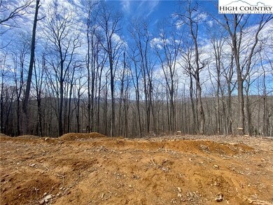 TBD Old Chestnut Mountain Rd, Newland, NC 28657 - photo 6