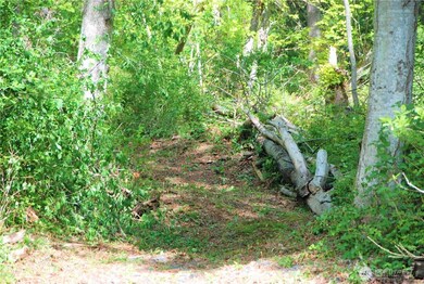 12 Koehn Rd, Birch Bay, WA 98230 - photo 6