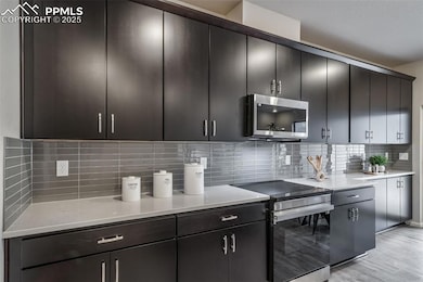 5776 Torrisdale View, Colorado Springs, CO 80927 - photo 4