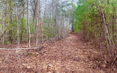 25.95 Pleasant Hill Rd, Ellijay, GA 30540 - photo 3