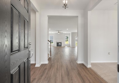 205 Palfrey Dr, Ridgeville, SC 29472 - photo 4