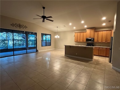 1569 W Caroline Path, Lecanto, FL 34461 - photo 7