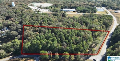 249 Highway 216, Montevallo, AL 35115 - photo 3