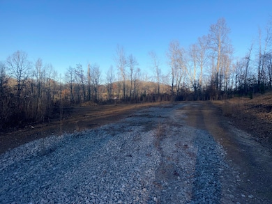 3515 Ky 1232, Gray, KY 40734 - photo 7