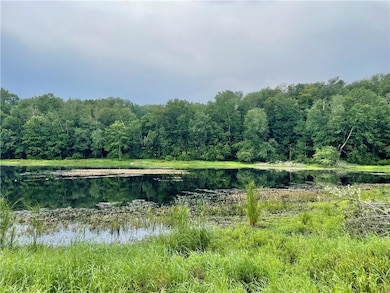 10.7 & 10.9 Cty Hwy 141 Horseshoe Lake Rd, Bethel, NY 12720 - photo 6