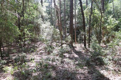 00 SW 205 Cir, Dunnellon, FL 34431 - photo 4