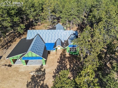 10697 Alamar Way, Black Forest, CO 80908 - photo 3