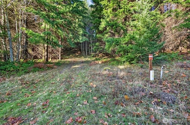 0 Knights Bridge Rd unit NWM2455713, Ariel, WA 98603 - photo 4