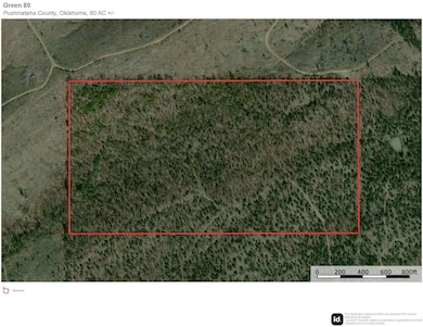 000 Tram Tr, Rattan, OK 74562 - photo 4