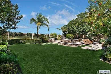 Lush Backyard