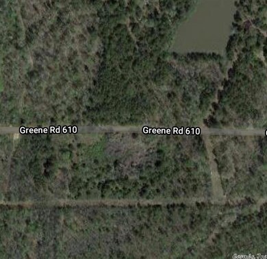 4576 Greene Road 610, Beech Grove, AR 72412 - photo 5