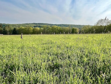 Wp 0 Rolling Meadows Ed unit LotWP000, Livingston Manor, NY 12758 - photo 3