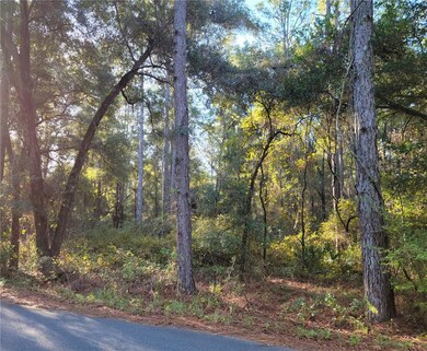 LOT 53 SW 57th Place, Dunnellon, FL 34432 - photo 2