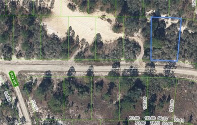 404 Sunshine Ave, Lake Placid, FL 33852 - photo 7