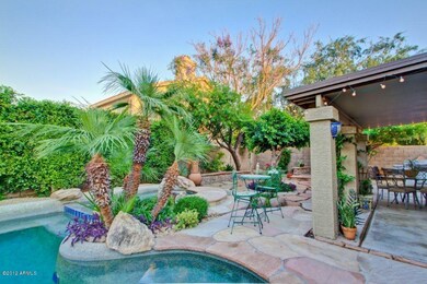 BACK YARD OASIS