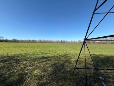 00 Shaw Chapel Rd, Brownsville, TN 38012 - photo 3