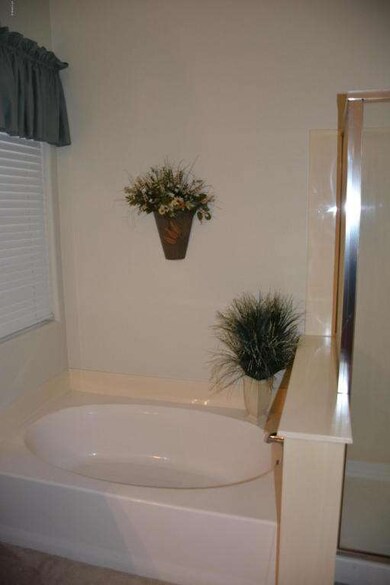 Separate Tub & Shower