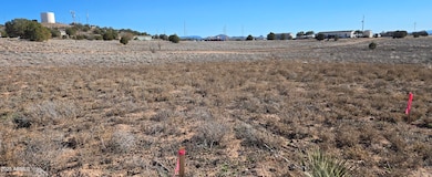 25670 Saint Joseph Rd unit 479, Paulden, AZ 86334 - photo 4