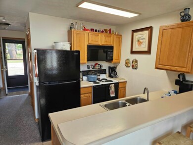 45 Jack O'Lantern Dr S unit 24, Woodstock, NH 03285 - photo 7