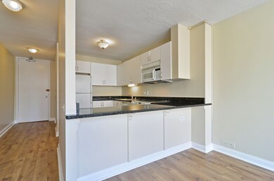 405 N Wabash Ave unit 901, Chicago, IL 60611 - photo 4