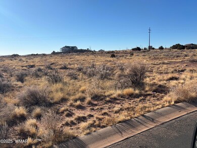 2153 W Elk Rd, Snowflake, AZ 85937 - photo 3