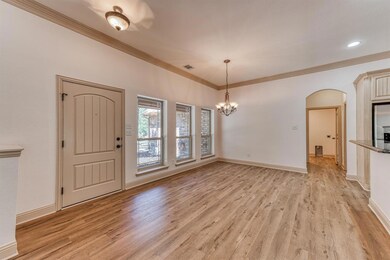 147 Macanudo Ln, Weatherford, TX 76085 - photo 6