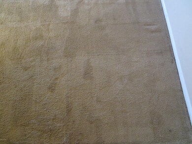Carpet