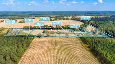 5.65 Acre Prescott Rd, Florala, AL 36442 - photo 3