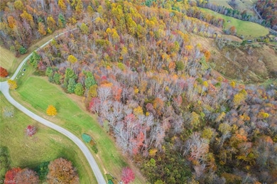 TBD 3 Mayito Ln, Mouth of Wilson, VA 24363 - photo 2