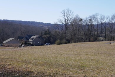 IMG_1985