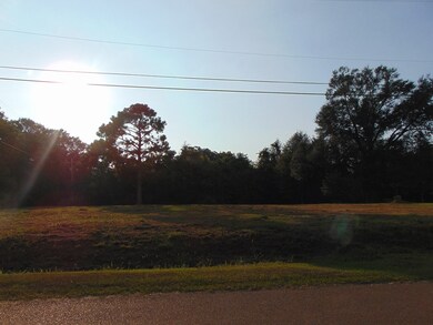 1003 Wooden St, Wesson, MS 39191 - photo 6