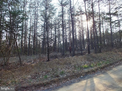 Lot 15 Pine Crest Ln, Gainesboro, VA 22603 - photo 5