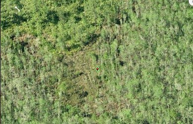 0 Dill Rd unit MFRO6234185, Orlando, FL 32820 - photo 3