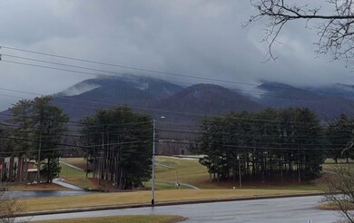 202 University Pkwy unit 2E, Johnson City, TN 37604 - photo 5