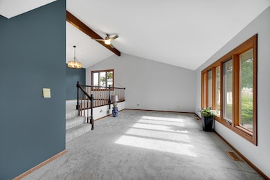 13226 Farm View St, Homer Glen, IL 60491 - photo 4