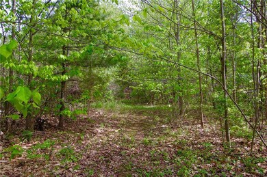 Surround yourself with nature.