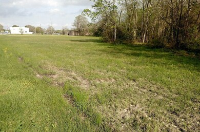 0 County Road 158 Mustang Rd, Alvin, TX 77511 - photo 6