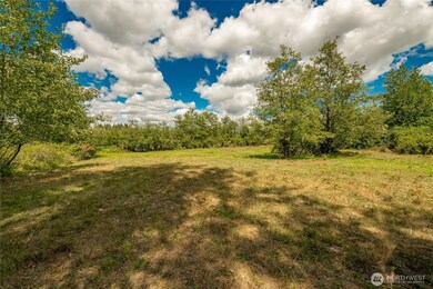 0 Sunrise Rd unit NWM2426084, Custer, WA 98240 - photo 7