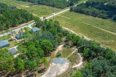 2779 W Tracy Ct, Citrus Springs, FL 34433 - photo 4