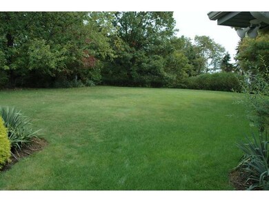 Yard/Garden. View of Back Yard from Rear Patio - I