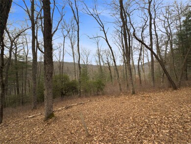 Lt 79 Tuttle Mink Trail, Sapphire, NC 28774 - photo 3