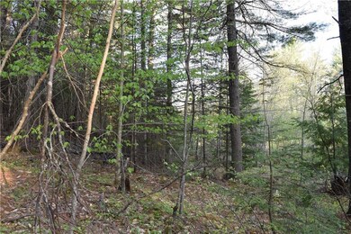 Maine Wooded Lot for Sale in Hampden, ME