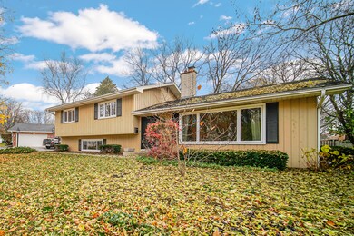 308 S Charles Ave, Naperville, IL 60540 - photo 3