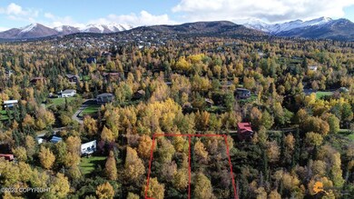 L9 & L10 Feodosia Dr, Anchorage, AK 99516 - photo 5