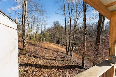 1776 3rd Run, Glenville, WV 26351 - photo 3