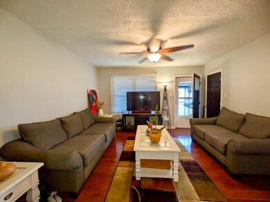 459 Erie Rd, Lexington, KY 40511 - photo 5