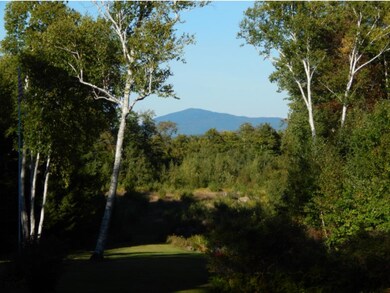 689 West Rd, Bradford, NH 03221 - photo 5