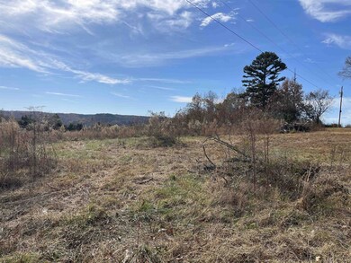 2780 Hardin Creek Rd, Clifton, TN 38425 - photo 4