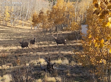 2387 Buffalo Ridge Rd, Como, CO 80432 - photo 3